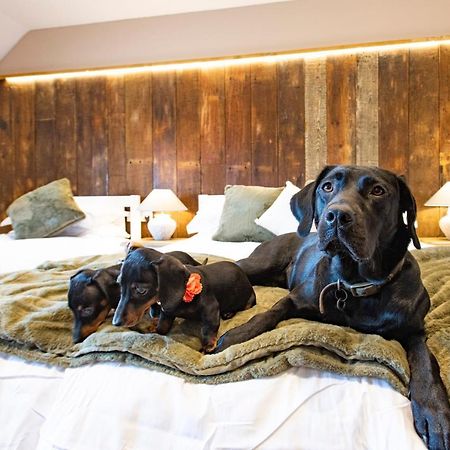 Kings Arms Hotel Penzance Luaran gambar