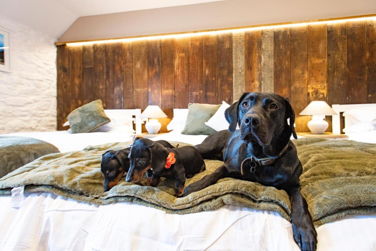 Kings Arms Hotel Penzance Luaran gambar